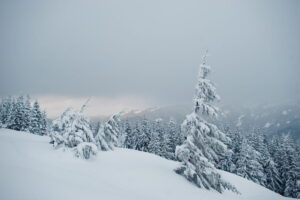 Snow Day Predictor Peterborough